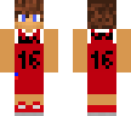 pau gasol