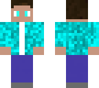 steve swagger