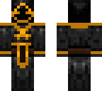 team skin orange
