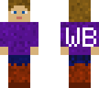 wb skin