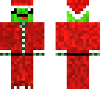 christmas turtle