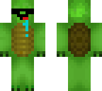 captainturtlegr