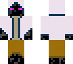 ender_assasin