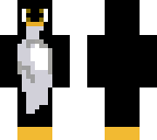 old wise hat penguin