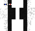 white and black enderman