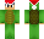 turtle