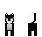 black cat