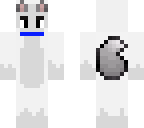 boy dog