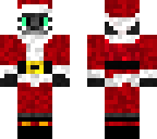 cat santa