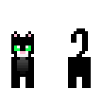 cute cat
