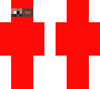 robo ninja