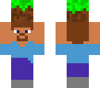 steve carrying a grass block