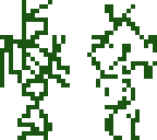 vines