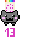 13 followers
