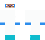 ice ninja