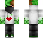 sexy creeperfarts