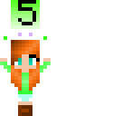 5 follower