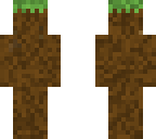 dirt skin