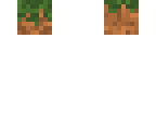 grass block