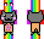nyan cat rainbow person