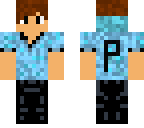 pap341