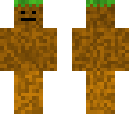 dirt