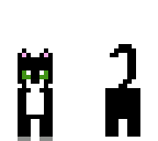 kitty cat