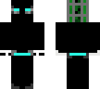 ninja cactus