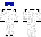 the stig