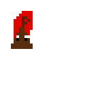 super poop