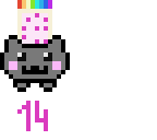 14 followers