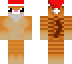 cute cat santa chrismas