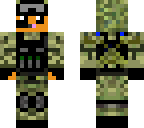 soldier cat