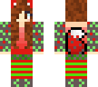holiday cat skin