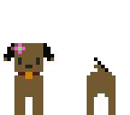 puppy