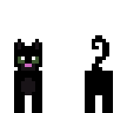 black cat