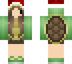 christmas turtle