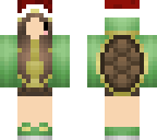 christmas turtle