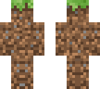 grass