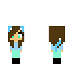 mini djderpy411