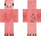 pig
