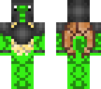 turtle warrior