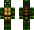 the new ninja turtle