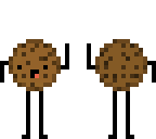 cookie guy