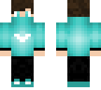 gars bleu v2