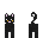 midnight cat