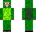 turtle and sheep