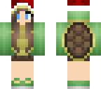 turtle christmas