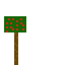 apple tree