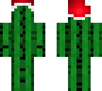 christmas cactus